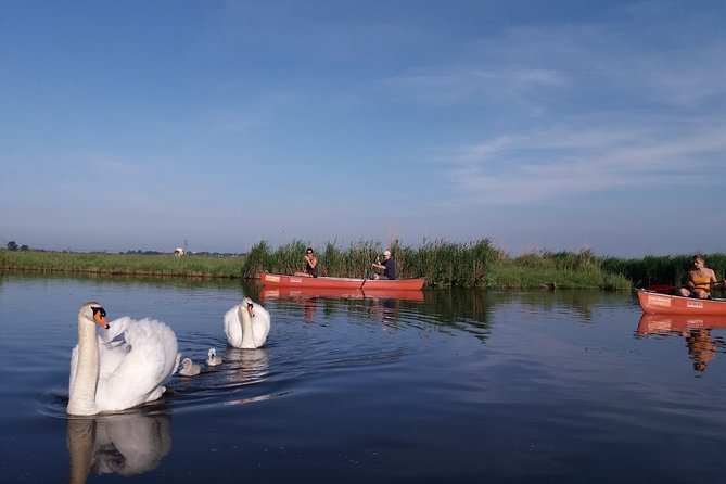 Fresh nose tour with the canoe through the nature near Amsterdam - Entering the Natura2000 reserve by boat, and why it changes the whole trip