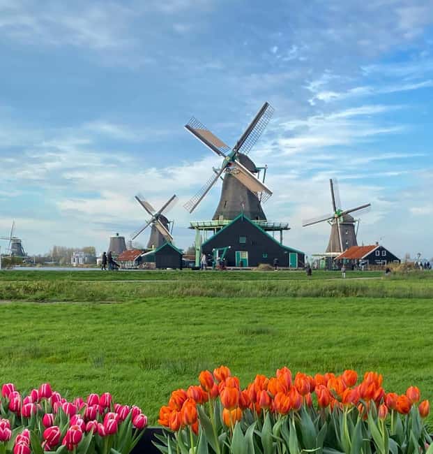 From Amsterdam; Alkmaar Cheese market & Zaanse Schans - Kaasmarkt Alkmaar at Waagplein: what you see and what it means