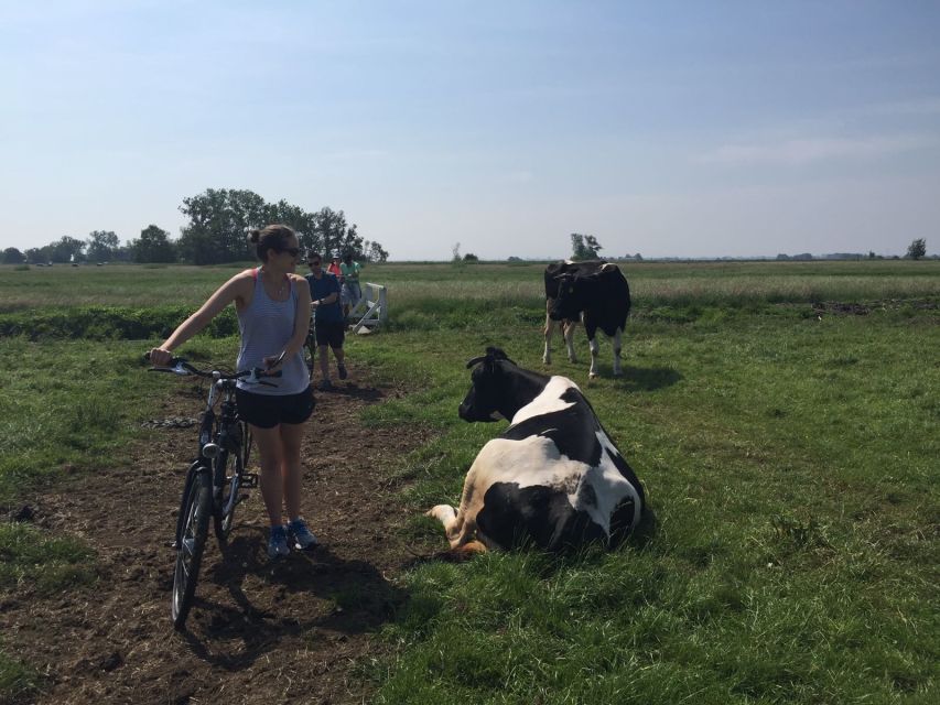 From Amsterdam: Countryside Bike Tour - Ferry over the IJ-lake, then straight onto dikes