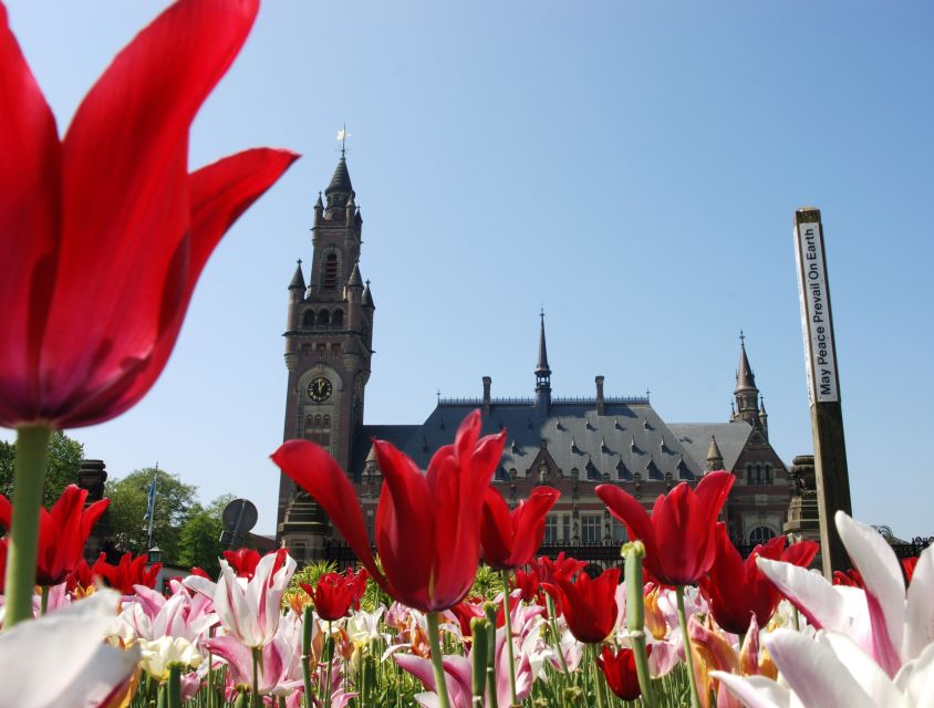 From Amsterdam: Guided Trip to Rotterdam, Delft & The Hague - From Amsterdam to South Holland: pickup and coach comfort that actually matters