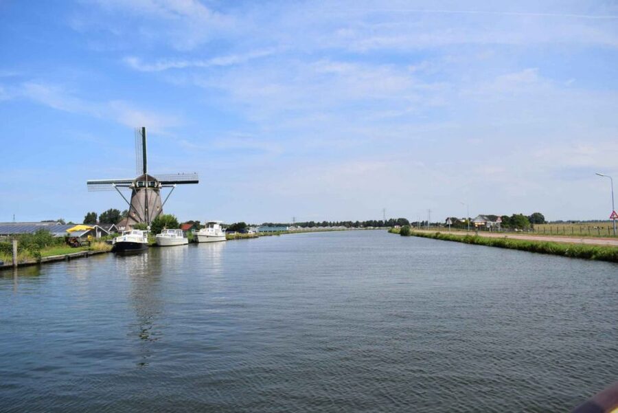 From Amsterdam: Holland Flower and Windmill Tour - summer ed - A one-day flower and windmill escape from Amsterdam
