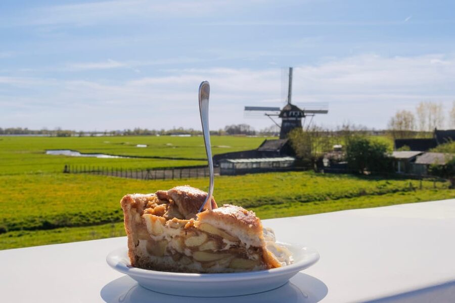 From Amsterdam: Holland Flower and Windmill Tour - summer ed - Warmond and the Kagerplassen cruise with 18 working windmills