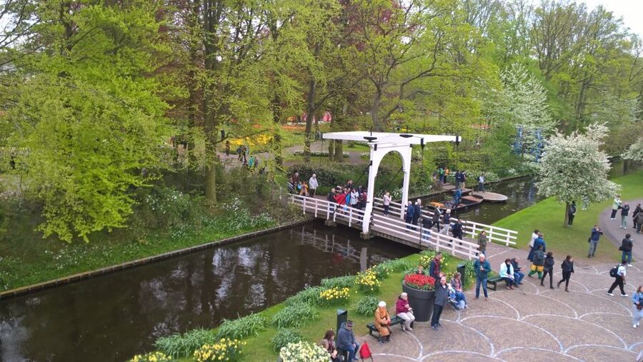 From Amsterdam: Keukenhof and Zaanse Schans Small Group Tour - Who Should Book This Tour, and Who Might Prefer Something Else