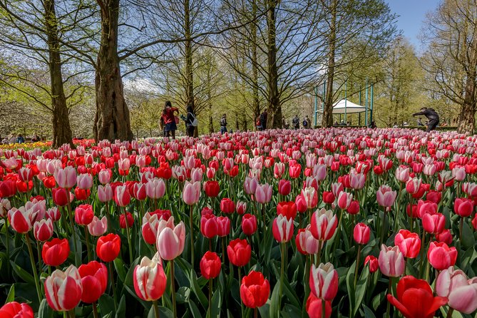From Amsterdam: Keukenhof Gardens Ticket and Transfer - Canals option: the Lovers Canal Cruise with the audio ticket