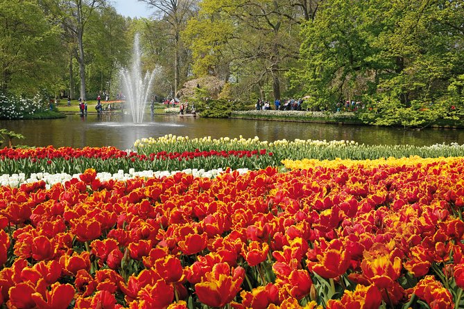From Amsterdam: Keukenhof Gardens Ticket and Transfer - How the timing usually feels in real life