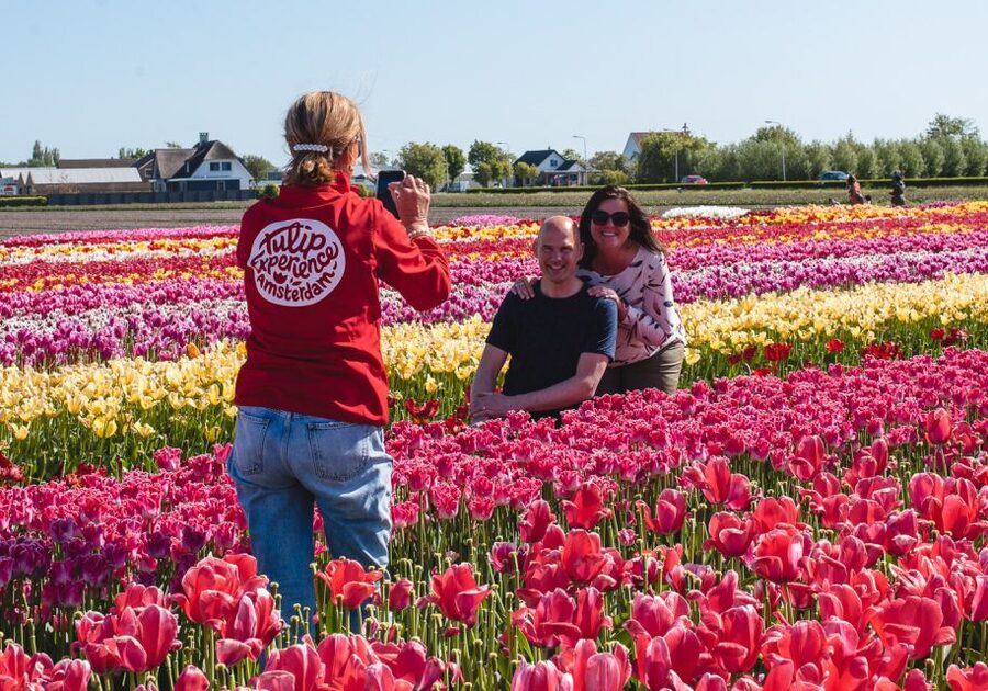 From Amsterdam: Keukenhof Gardens & Tulip Experience Tour - Price and value: what $94 buys you in real terms