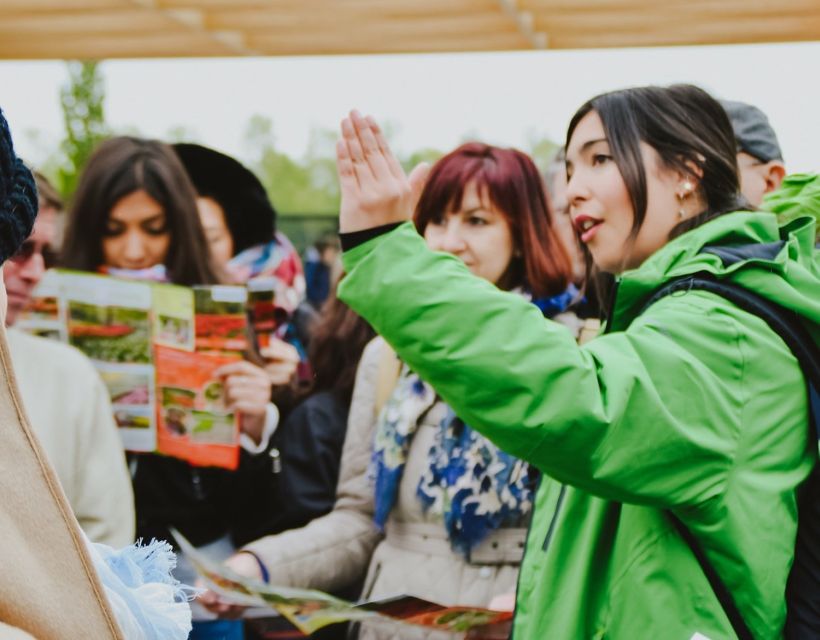 From Amsterdam: Rotterdam and The Hague Tour in Spanish - A practical way to see two South Holland cities