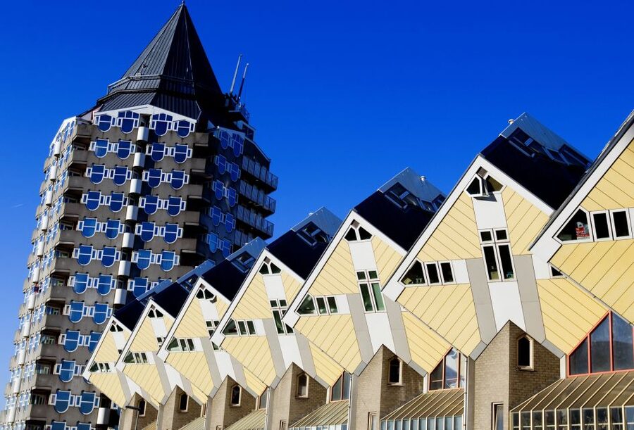 From Amsterdam: Rotterdam and The Hague Tour in Spanish - 3 hours of free time in Rotterdam: use it like a local