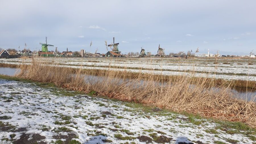 From Amsterdam: Small Group Zaanse Schans and Volendam Tour - Why This Half-Day Feels More Complete Than It Sounds