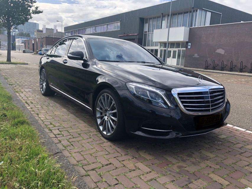 From Amsterdam: The Hague Private Trip and Mauritshuis Entry - Photo stops at the Peace Palace and International Court of Justice area