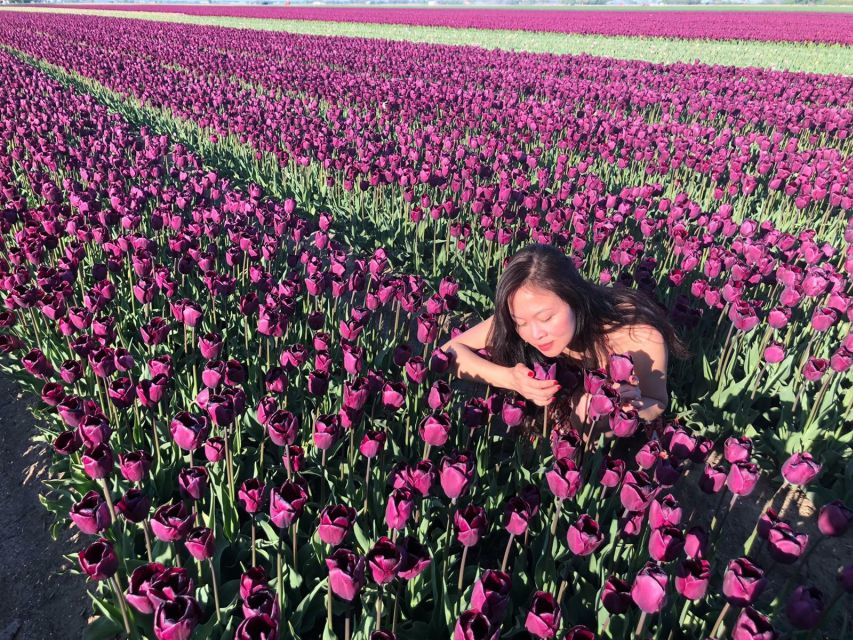 From Amsterdam: Tulip Tour Keukenhof & City Tour Delft - Delft free time: how to use your 1.5 hours well