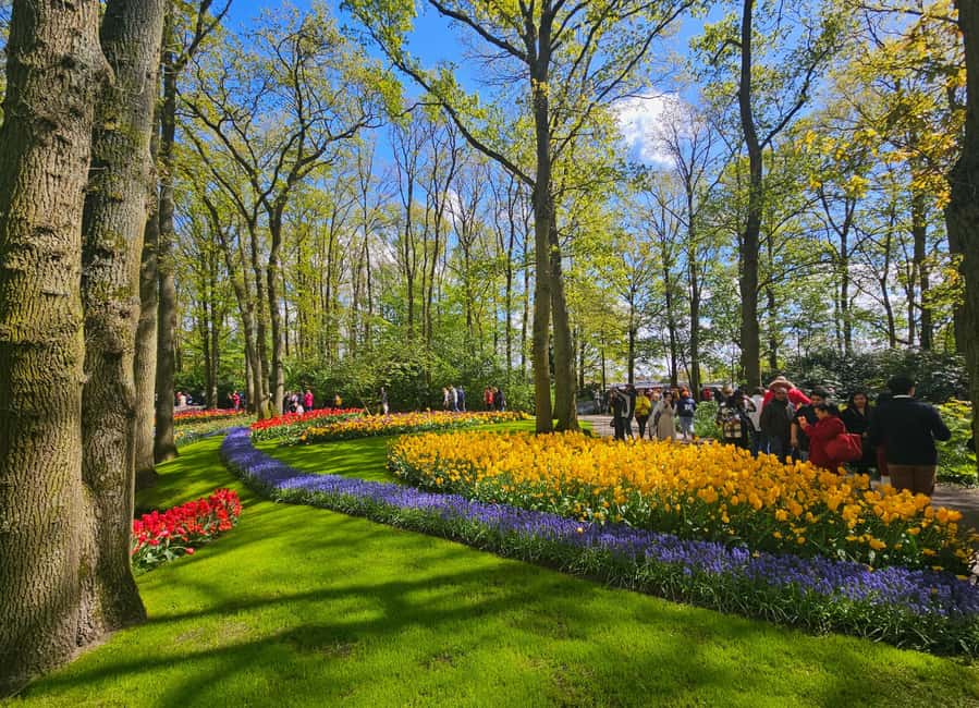 From Amsterdam: Tulip Tour Keukenhof & City Tour Delft - Price and value: what you’re paying for, and what you’re not