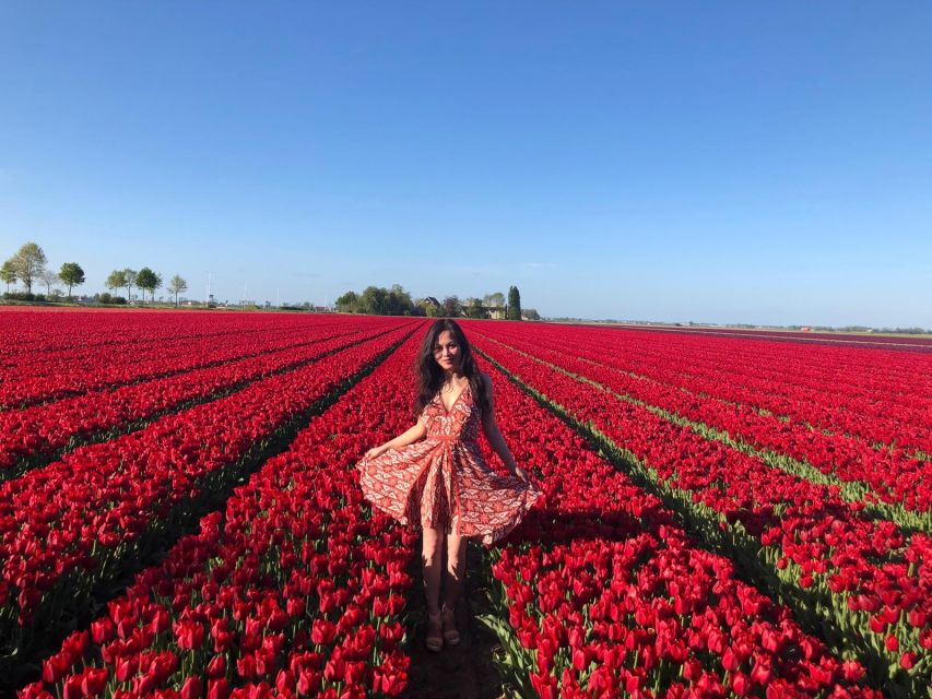From Amsterdam: Tulip Tour Keukenhof & City Tour Delft - Logistics that matter on this day trip (shoes, bags, and walking pace)
