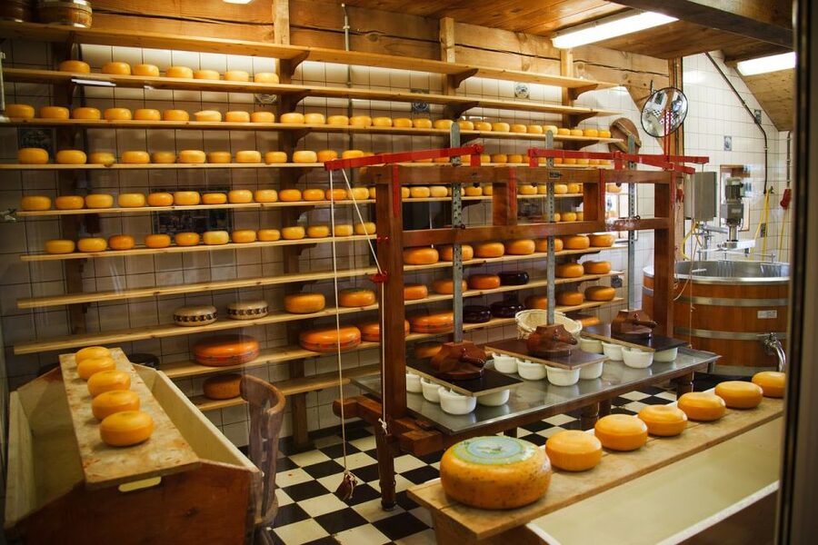 From Amsterdam: Windmills, Volendam, & Marken Private Tour - Henri Willig cheese farm store: tasting and robot milking in one stop