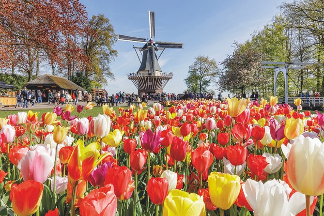 Full-Day Skip the Line Keukenhof and Canal Cruise from Amsterdam - Key Points to Know Before You Go