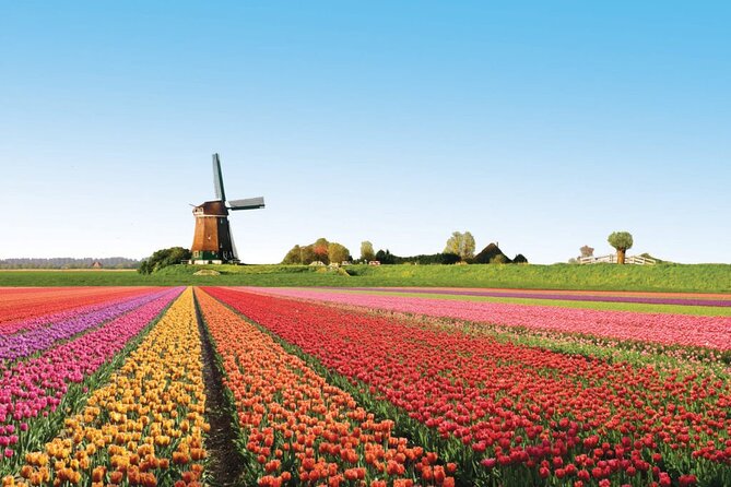 Full-Day Skip the Line Keukenhof and Canal Cruise from Amsterdam - Overhoeksplein Meeting Point and Easy Amsterdam Start