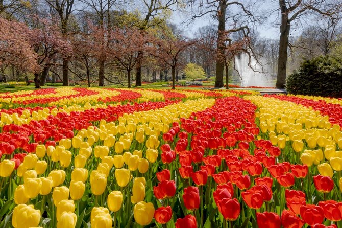 Full-Day Skip the Line Keukenhof and Canal Cruise from Amsterdam - Price and Value: Is This Package Worth It?