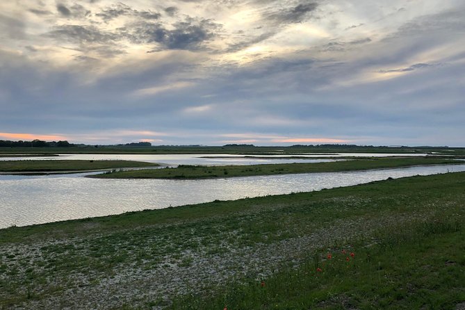 Full day tour to Texel - Friesian Islands - from Amsterdam - Wadden Sea moments: tides, shallow water, and wildlife watching