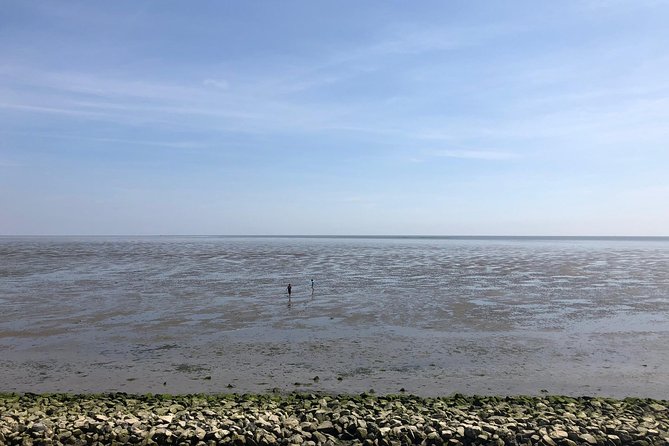 Full day tour to Texel - Friesian Islands - from Amsterdam - Comfort, group size, and who will enjoy this most
