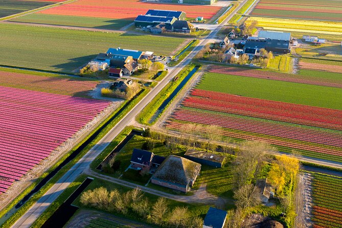 Guided Bike Tour along the Dutch Tulip Fields in Noord Holland - Key points to know before you pedal through tulip country