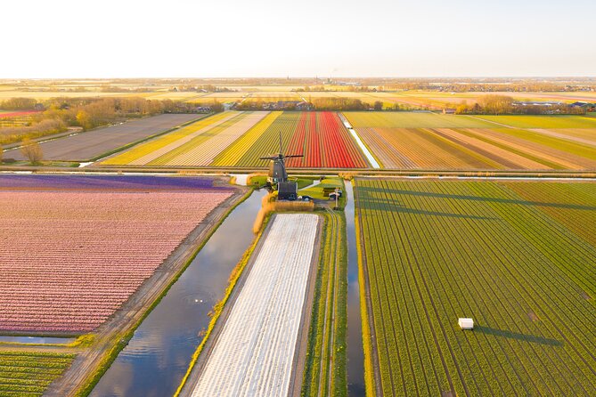 Guided Bike Tour along the Dutch Tulip Fields in Noord Holland - Schagen is your tulip launchpad, and the ride stays scenic