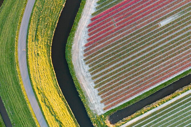 Guided Bike Tour along the Dutch Tulip Fields in Noord Holland - Manon’s guide style: tulip stories and field respect