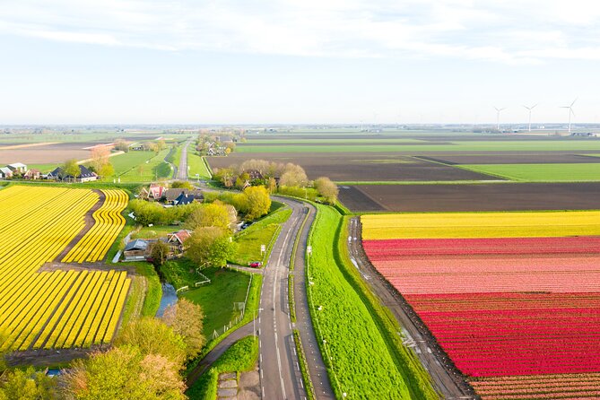 Guided Bike Tour along the Dutch Tulip Fields in Noord Holland - What you actually see along the way: windmills, animals, villages