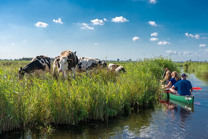 Guided Canoe Adventure with Picnic Lunch in Waterland from Amsterdam - Key highlights to look for