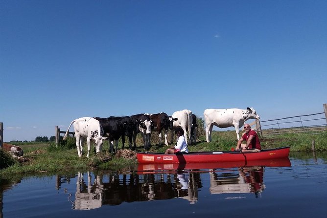Guided Canoe Adventure with Picnic Lunch in Waterland from Amsterdam - Midway Break: The Picnic Lunch on a Marsh Island