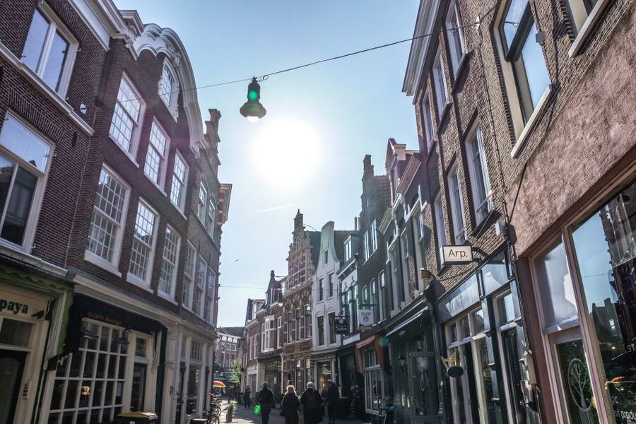 Haarlem: City Highlights Walking Tour - Why Haarlem highlights tours make sense here