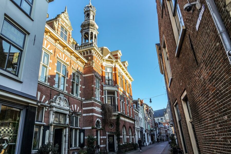 Haarlem: City Highlights Walking Tour - Teylers Museum area: why a quick pass still helps