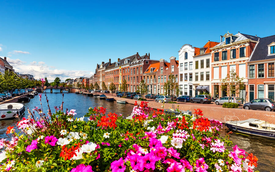 Haarlem Highlights Bike Tour - What to expect from the pace and the group