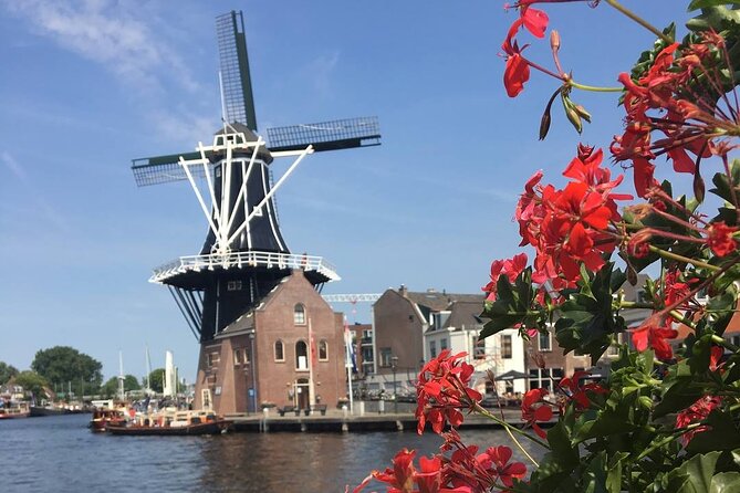Haarlem Old Town Private Walking Tour - Start at Haarlem Centraal, then get the city map in your head