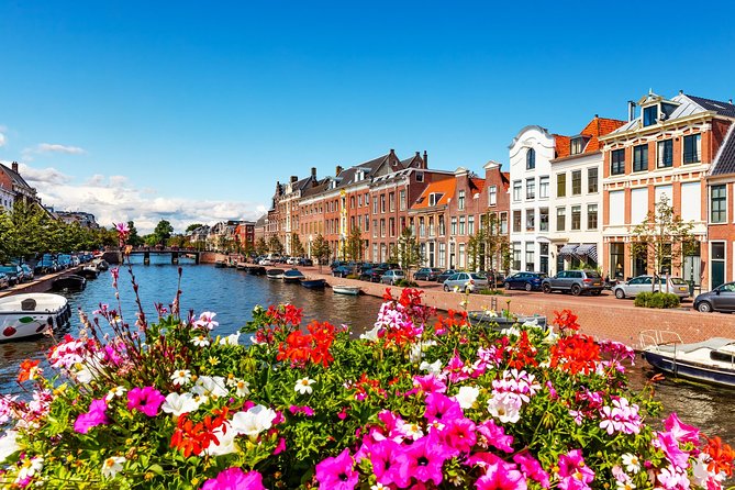 Highlight Bike Tours Haarlem - When Morning or Afternoon Works Best