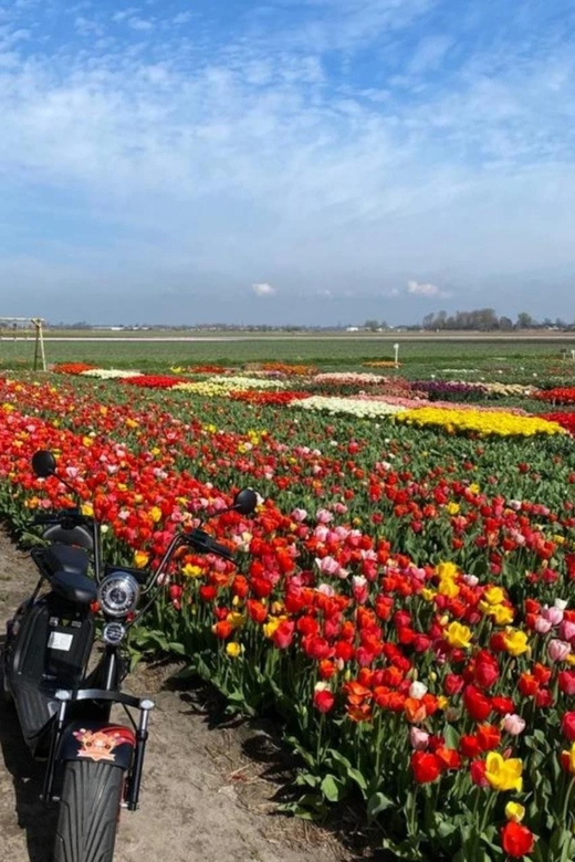 Hillegom: E-Scooter or E-Bike Rental in the Bulb Region - Key points to know before you go