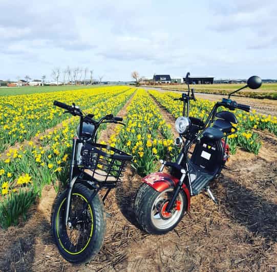 Hillegom: E-Scooter or E-Bike Rental in the Bulb Region - Why a Hillegom e-scooter day works so well in the Bulb Region