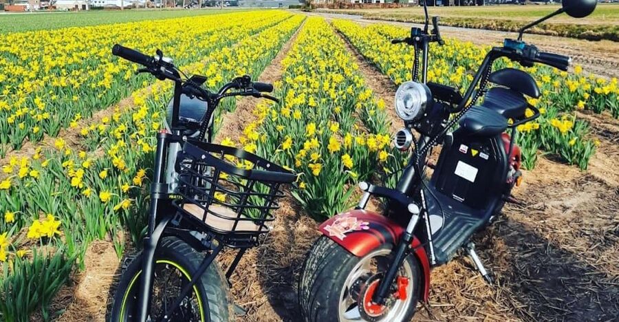 Hillegom: E-Scooter or E-Bike Rental in the Bulb Region - Check-in near Hillegom station and your quick setup talk