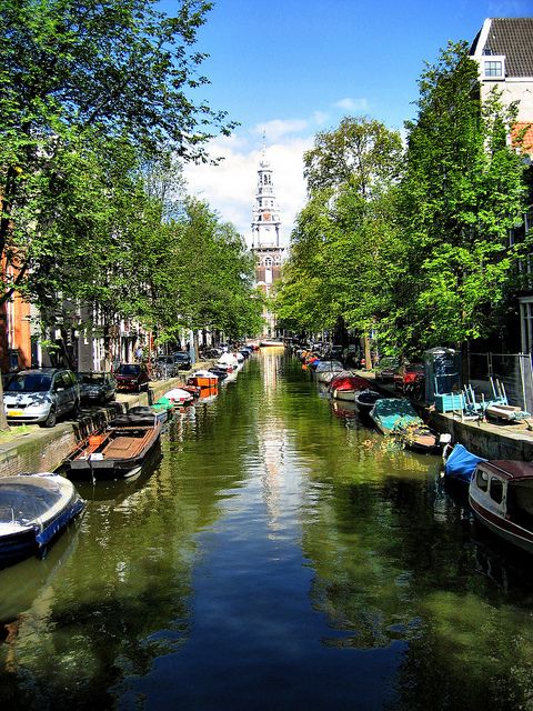 Historic Amsterdam 2-Hour Private Tour with Local Guide - Key Points Worth Booking
