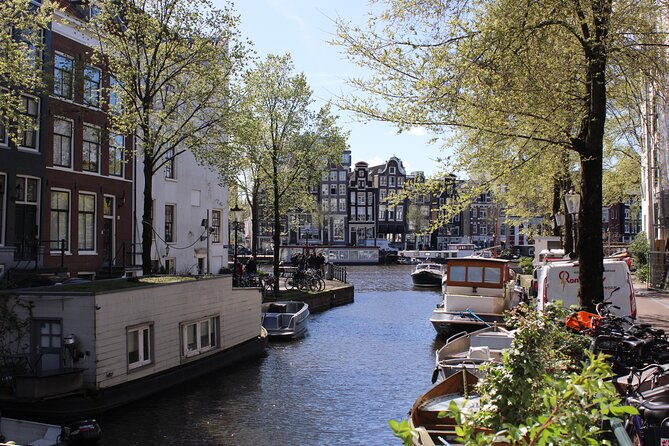 History & culture tour in Amsterdam with a local - Zeedijk and Chinatown’s Shift Over Time