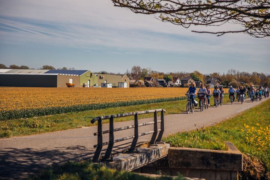 Keukenhof: Flower Fields Small-Group Cultural Bike Tour - Key things that make this tour worth it