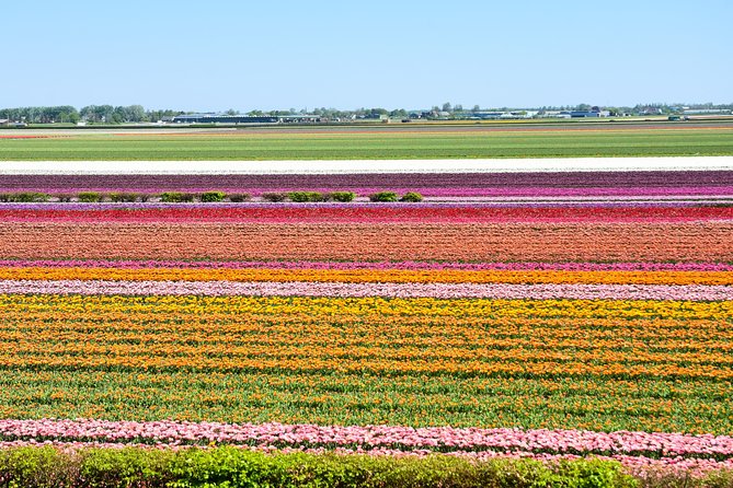 Keukenhof, Flower Fields, Volendam and Zaanse Schans Small-Group Tour - Volendam Haven: Traditional Clothing and a Real Seaside Break