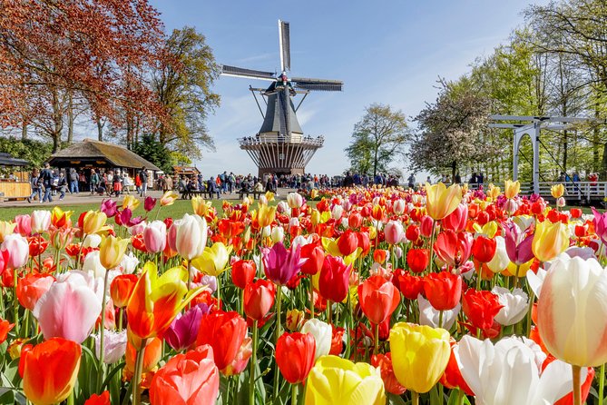 Keukenhof, Flower Fields, Volendam and Zaanse Schans Small-Group Tour - Zaanse Schans Windmills: Where Crafts Run All Day