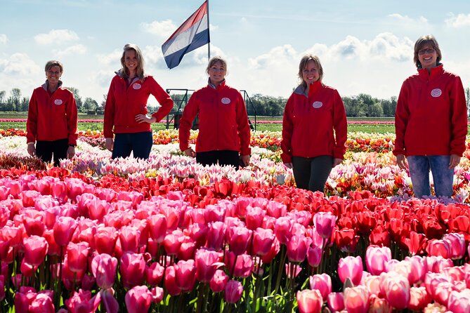 Keukenhof Gardens and Tulips Private Tour from Amsterdam - Price and value: when this private tour makes sense