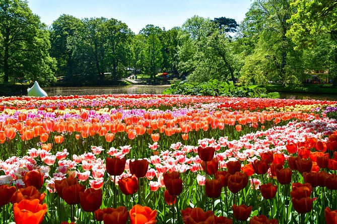 Keukenhof Gardens & Tulip Experience Tour from Amsterdam - Crowds, bloom timing, and the truth about spring dates
