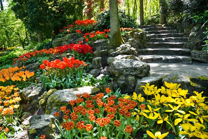 Keukenhof Gardens & Tulip Experience Tour from Amsterdam - Lunch and practical pacing: how to spend your Keukenhof time