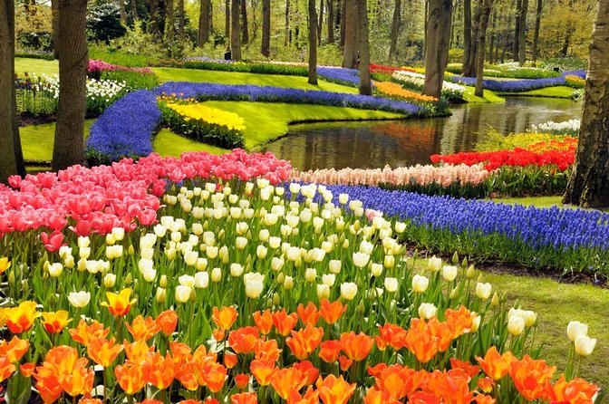 Keukenhof's Tulips and Windmills Small-Group Tour from Amsterdam - Key Things I Think Are Worth Your Time