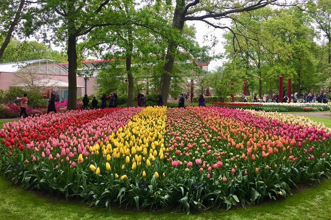 Keukenhof's Tulips and Windmills Small-Group Tour from Amsterdam - Stop 3: Gouda at Catharina Hoeve Cheese Farm