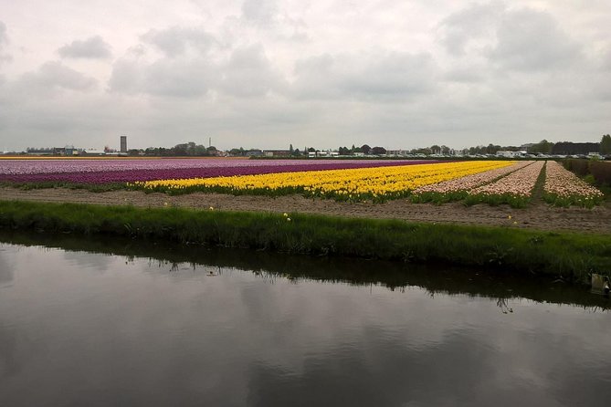 Keukenhof's Tulips and Windmills Small-Group Tour from Amsterdam - Keukenhof Gardens: Your 3 Hours to Explore at Your Own Pace
