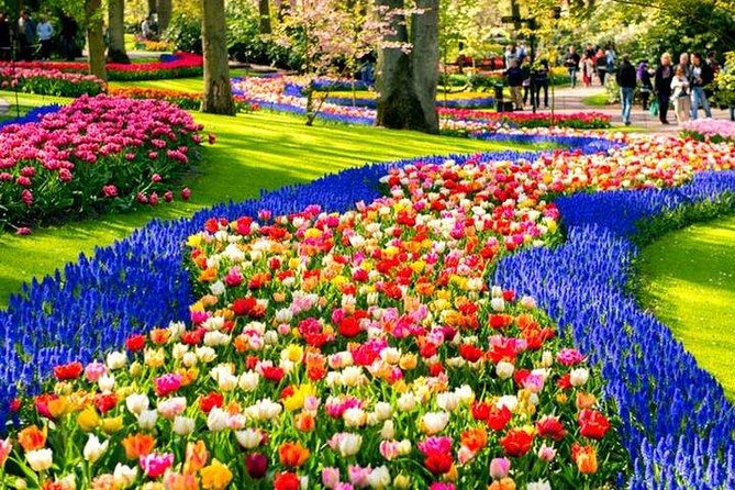 Keukenhof Skip-the-line Tickets: Countryside & Farm Private Tour - Key Highlights You Should Know