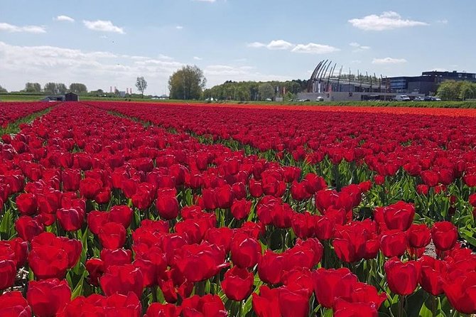 Keukenhof Skip-the-line Tickets: Countryside & Farm Private Tour - Zaanse Schans Windmills and Old-World Crafts on the Zaan